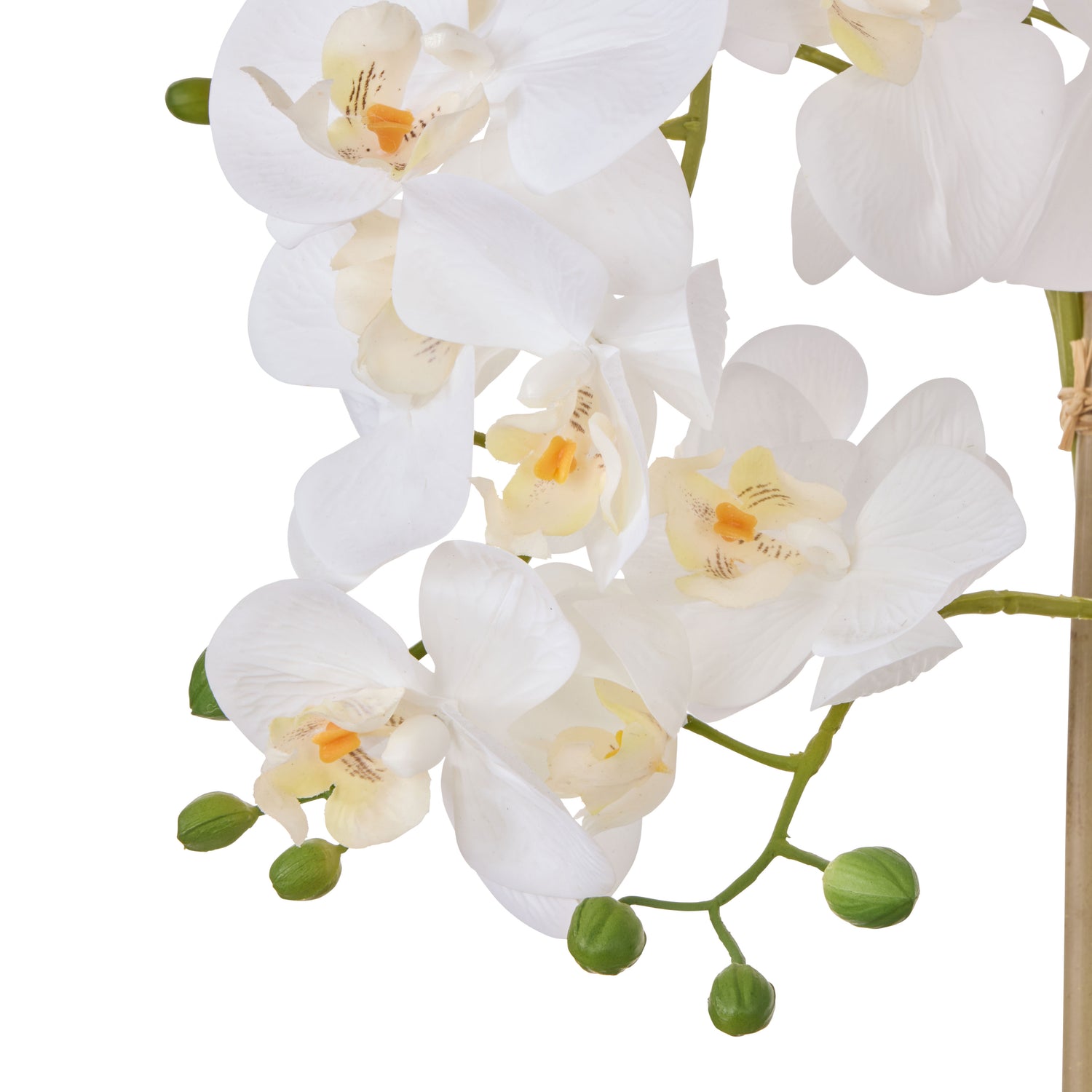 Faux Phalaenopsis Orchid Pot | White -  71cm