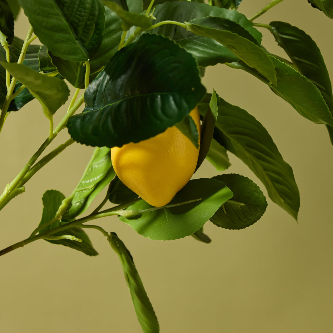 Faux Lemon Tree | 180cm