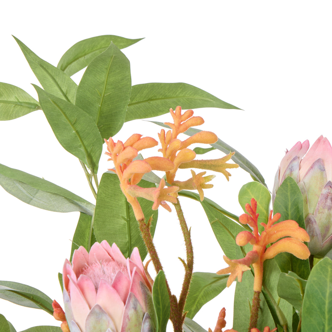 Rogue Pitaya Kangaroo Paw - Pail Vase Pink
