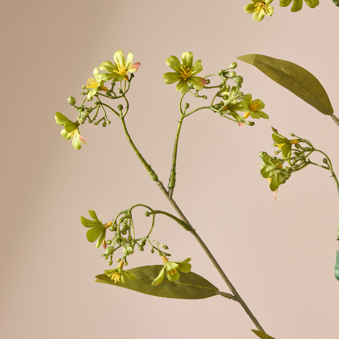Faux Daphne Spray | Green - 108cm