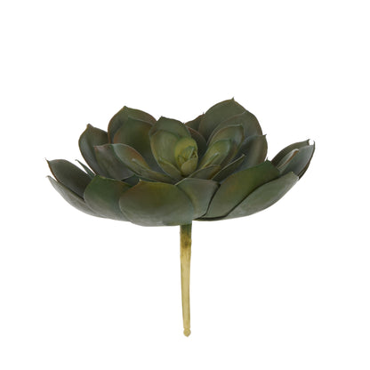 Faux Echeveria Succulent | Green - 18cm