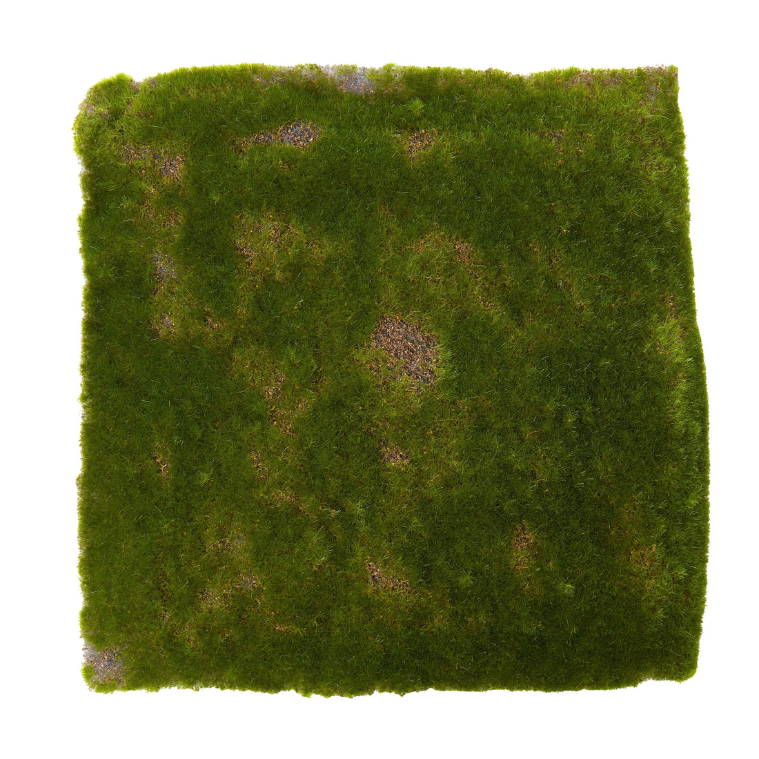 Artificial Moss Square | Green - 31x31cm