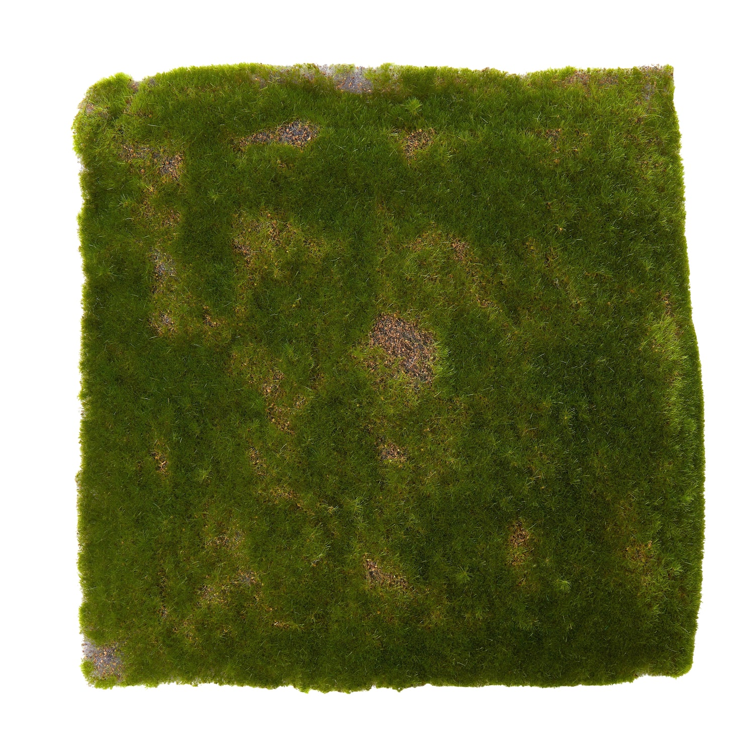 Artificial Moss Square | Green - 31x31cm
