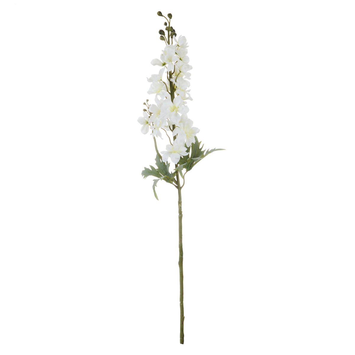 Rogue Delphinium Stem White