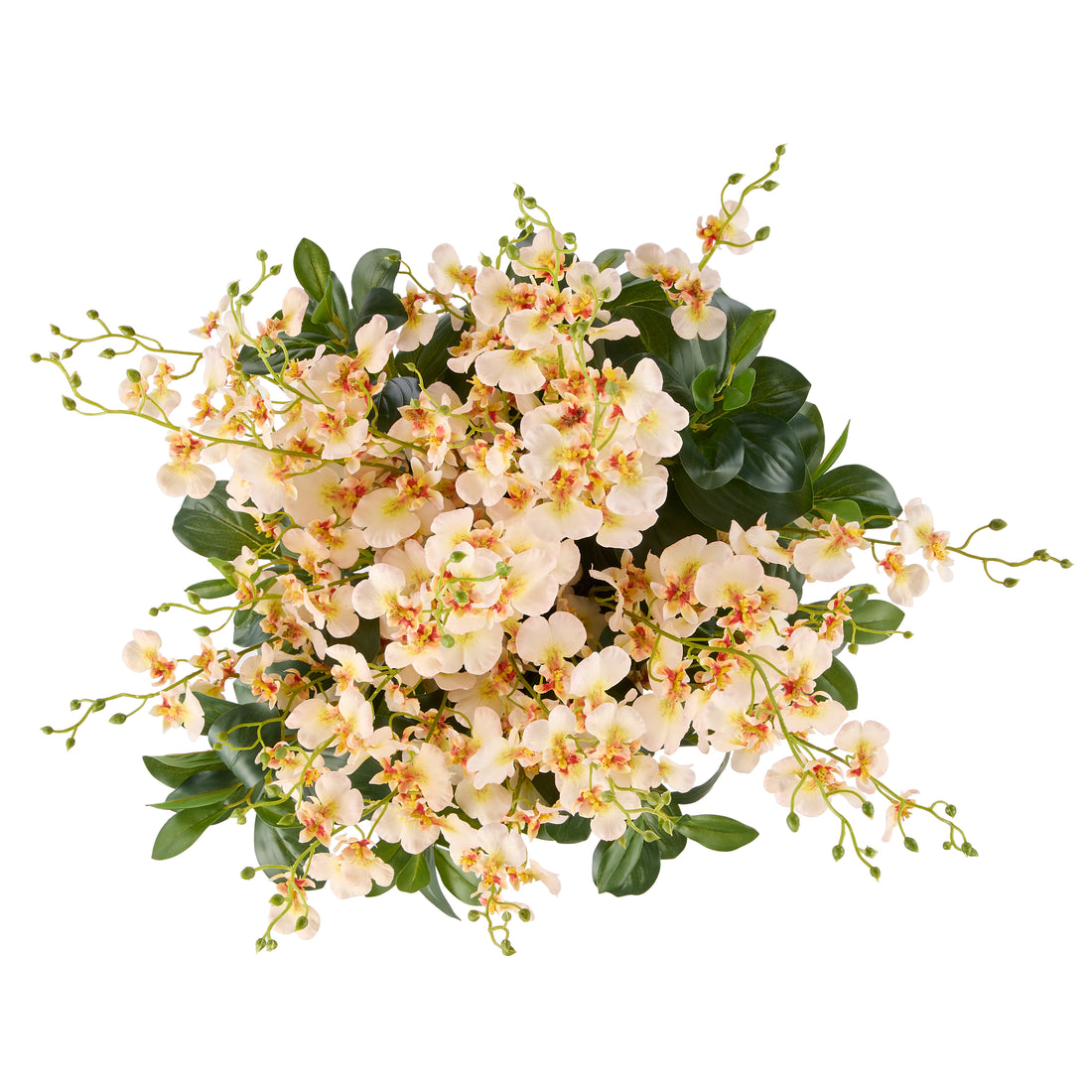 Faux Dancing Orchids - Madelyn Bowl | Cream - 58cm