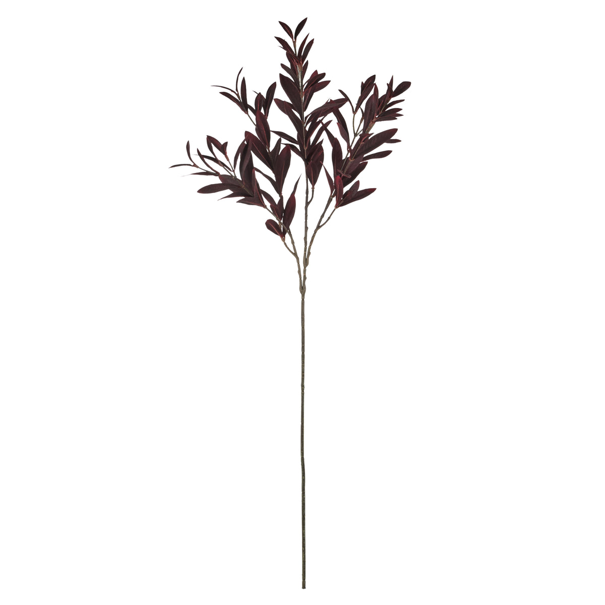 Rogue Olive Leaf Spray
 Burgundy