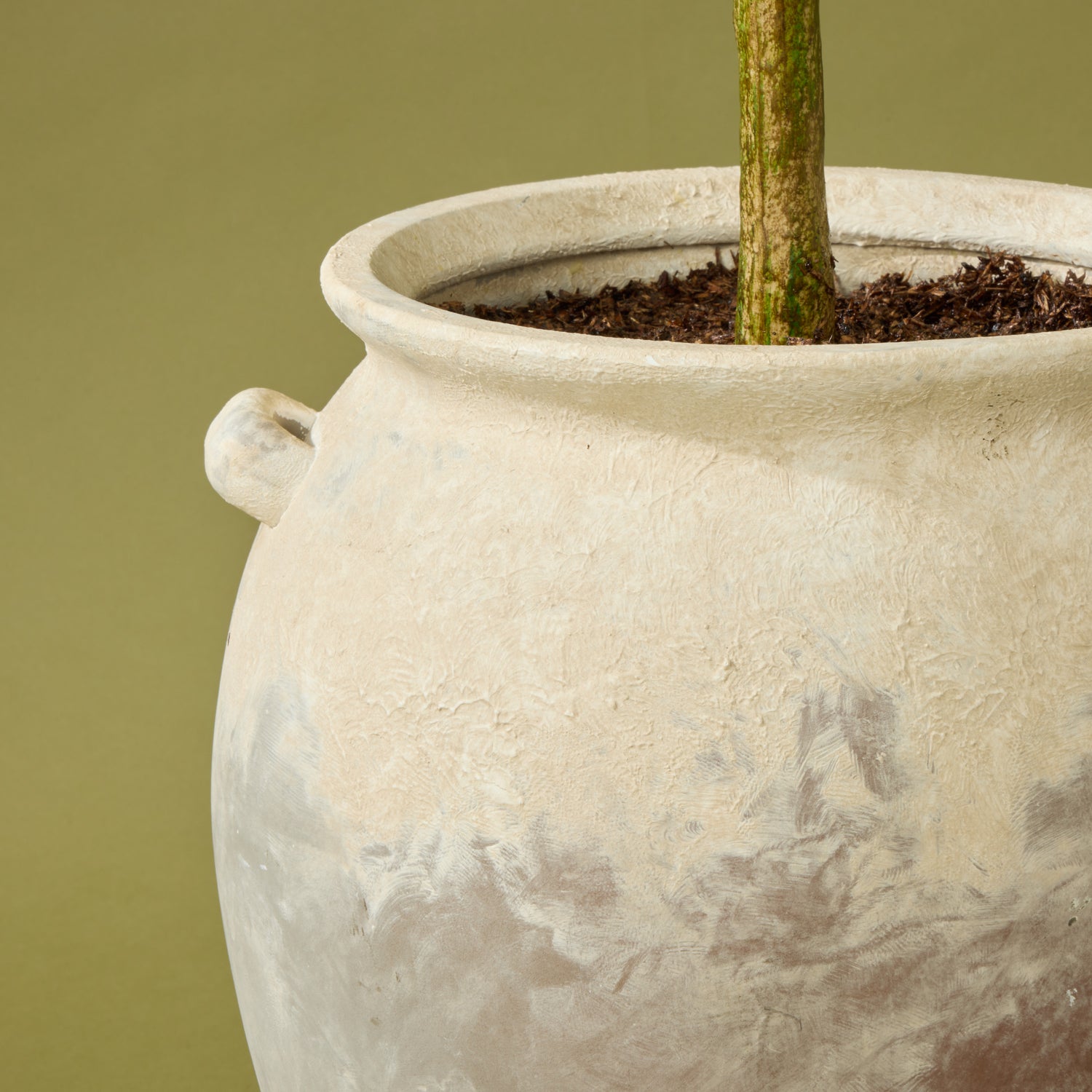 Faux Olive Tree - Inga Vase | Green - 166cm