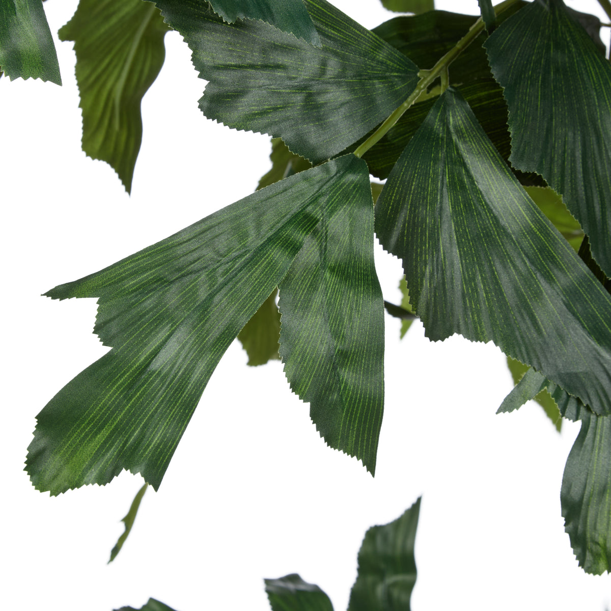 Rogue Caryota Palm Tree - Vienna Planter Green