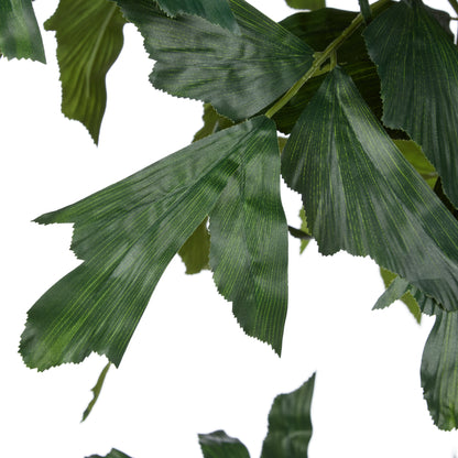 Rogue Caryota Palm Tree - Vienna Planter Green