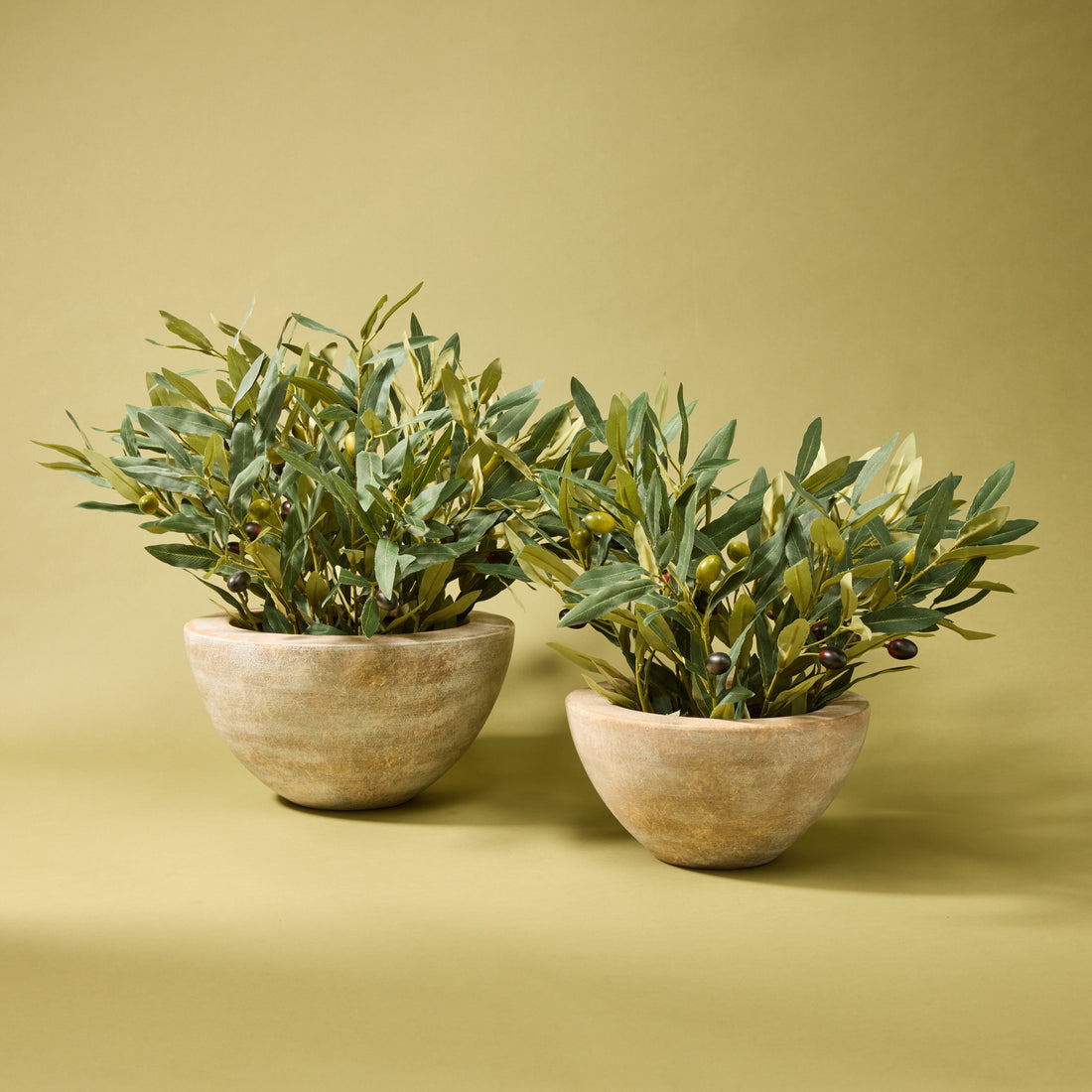 Faux Olive Spray Arrangement - Earthenware Bowl | 47cm