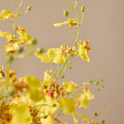 Faux Dancing Orchids - Madelyn Bowl | Yellow