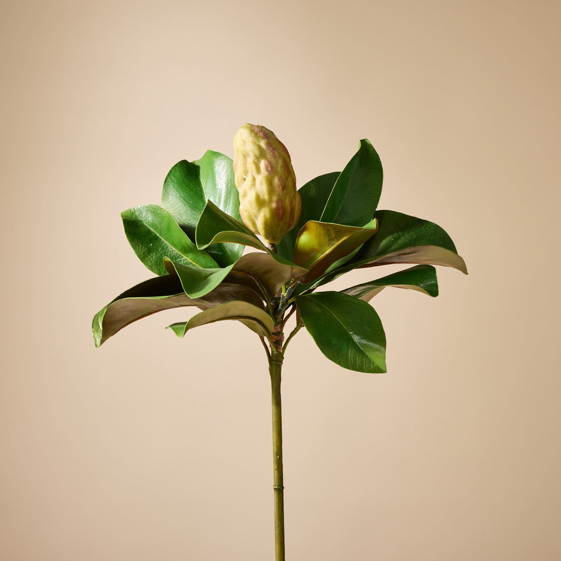 Faux Magnolia Bud Stem | 53cm