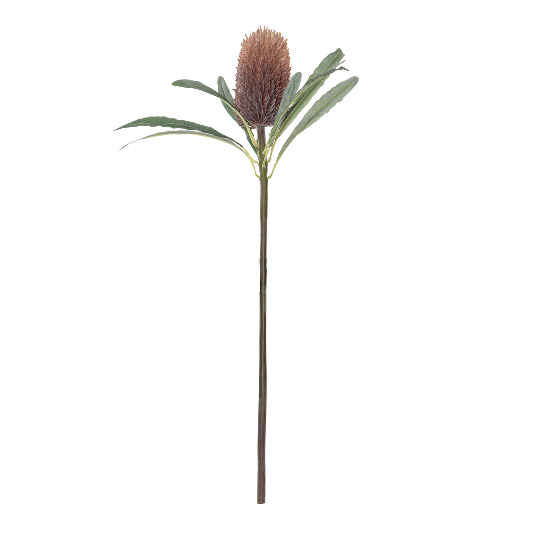 Faux Banksia Cone Stem | Brown - 61cm