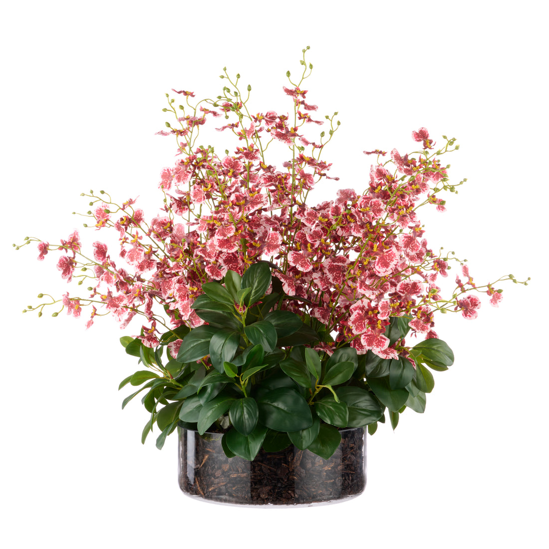 Rogue Dancing Orchid Garden Mix - Madelyn Bowl Burgundy