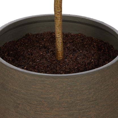 Rogue Olive Tree - Trillium Planter Green
